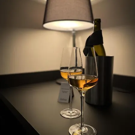 酒店 Doma U Nas Boutique & 波普拉德